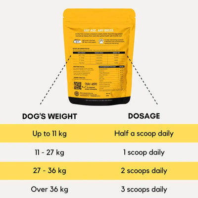 PetzPark Brain Support - Australia's Only Brain Health Supplement for Dogs - Two Sizes