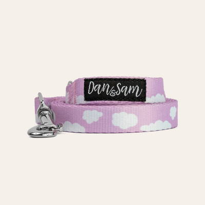 Dan & Sam Dog Lead – Dreamer - Two Sizes