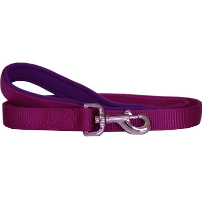 Durable and Reliable Nylon Dog Lead with Neoprene Handle - 25mm x 120cm - Purple