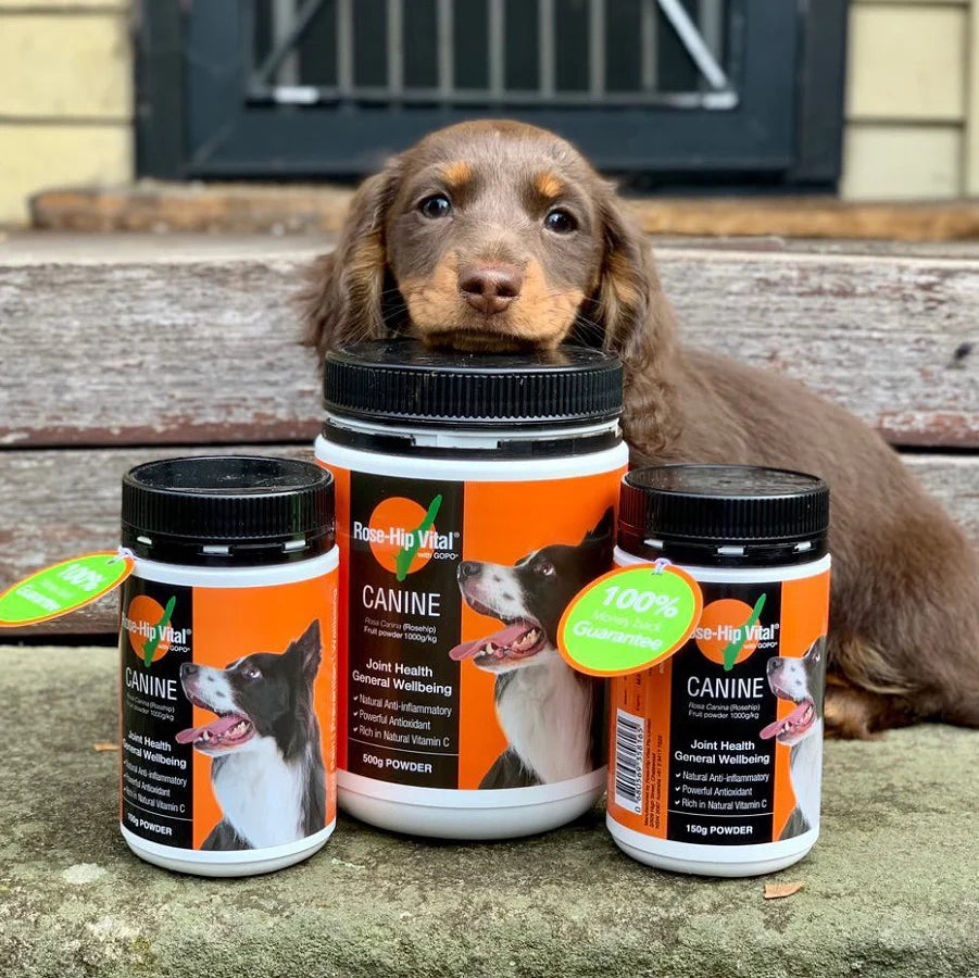 Rose-Hip Vital - Canine - Joint Support