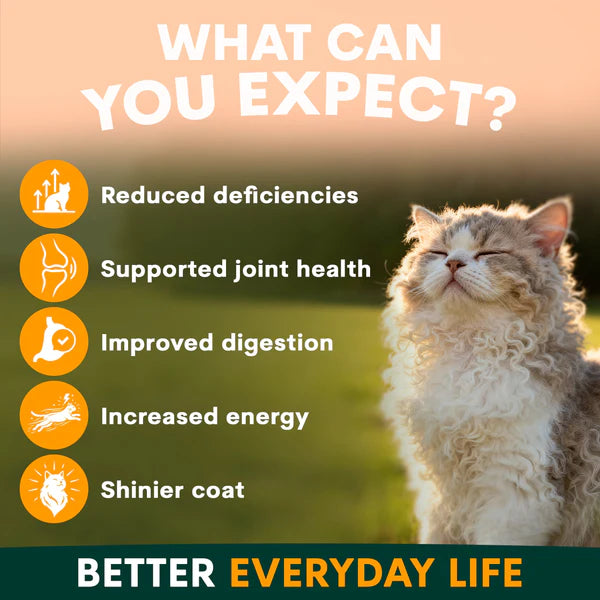 PetzPark Multivitamin For Cats