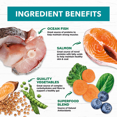 Ivory Coat Grain Free Adult Dog Food – Salmon & Ocean Fish