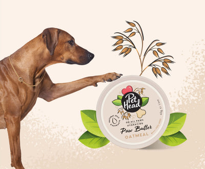 Pet Head On All Paws Moisturising Paw Butter