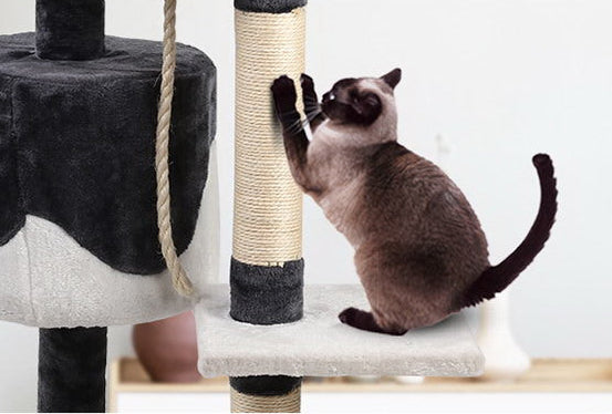 112cm Blue and White Cat Scratching Tree with Hanging Balls and Hanging Rope