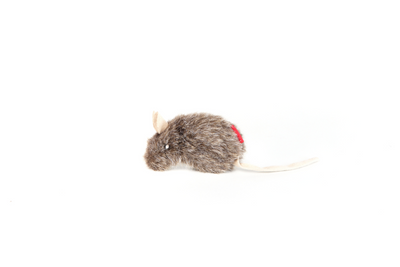 GiGwi Refillable Catnip Naturals Mouse - Perfect for Batting, Tossing and Pouncing!