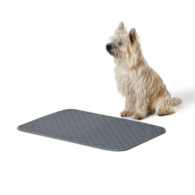 Snooza Washable & Reusable Pee Training Pad in Two Sizes