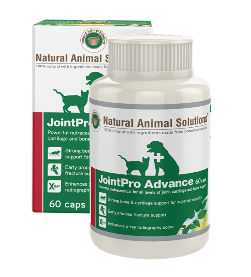 Natural Animal Solutions - JointPro Advance for Cats & Dogs 60 capsules