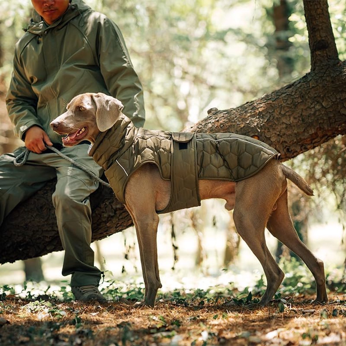 Warm Winter Dog Coat - Waterproof, Adjustable & Reflective - Size M - Green