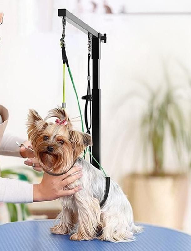 Grooming Arm/ Stand - Safely Secure Your Dog for Grooming - For Small to Medium Dogs
