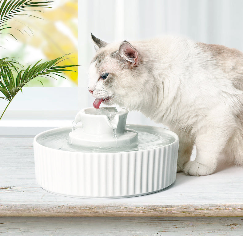 2.1L White Cupcake Style Electric Ceramic Water Fountain for Cats and Small Dogs