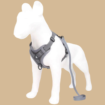 Adjustable Harness and Leash Set with Reflective Trim - Breathable Air Mesh - Medium