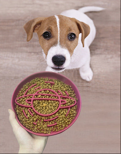 Planet Saturn Slow Feeder Dog Bowl - 2-in-1 Design for Healthy Eating - Green