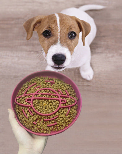 Planet Saturn Slow Feeder Dog Bowl - 2-in-1 Design for Healthy Eating - Purple