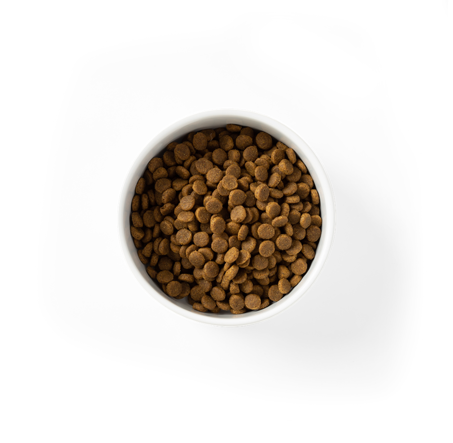 SavourLife Grain Free Food For Puppies – Australian Chicken