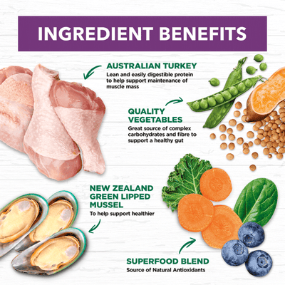 Ivory Coat Grain Free food for Mature Dogs – Turkey