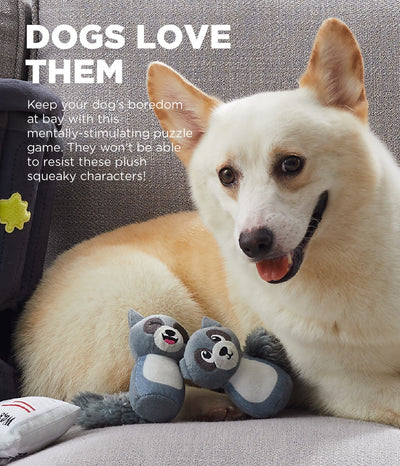Outward Hound – Hide-A-Raccoon 2-in-1 Plush Dog Puzzle