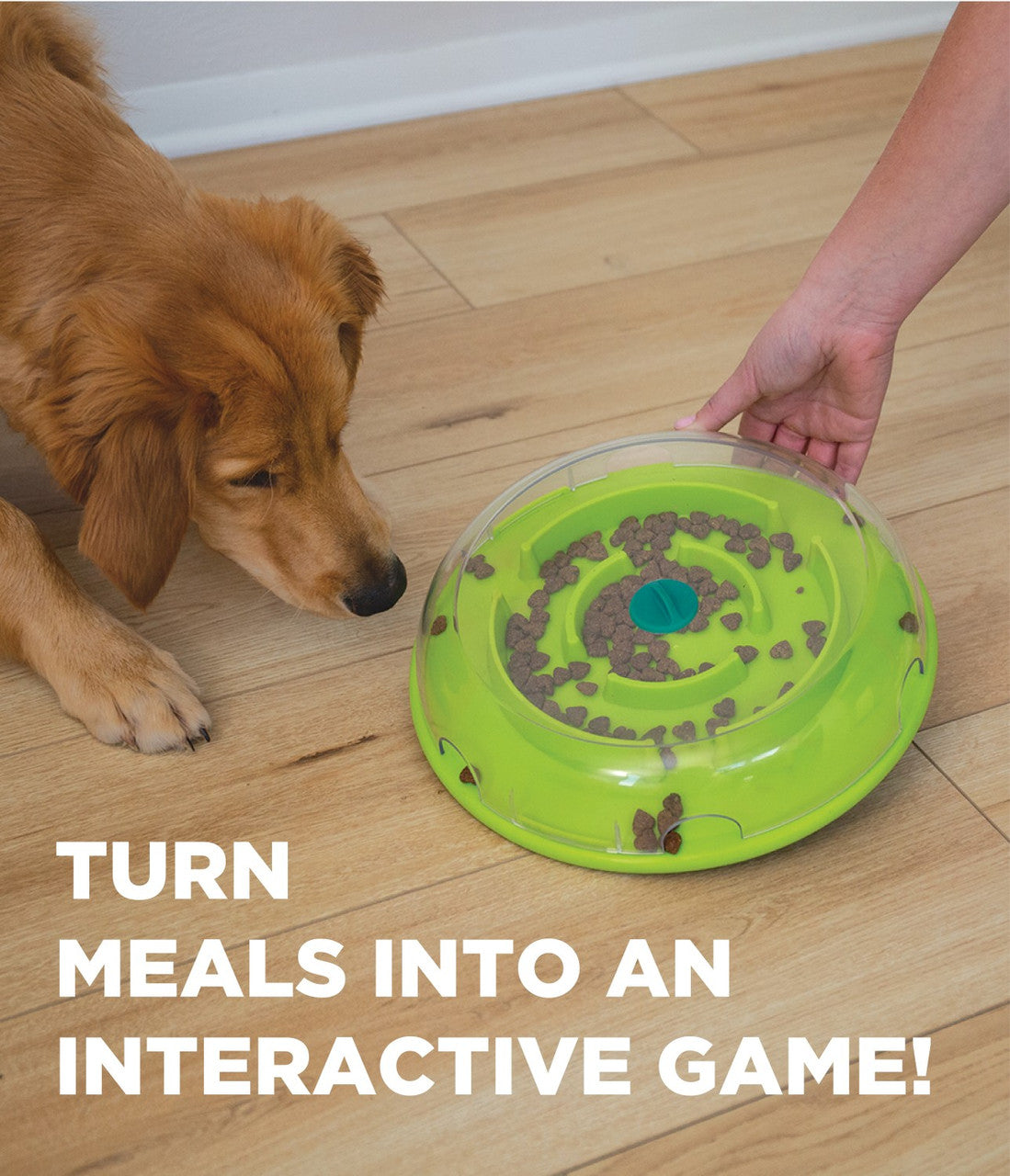 Outward Hound – Nina Ottosson – Dog Wobble Bowl Puzzle Game (Level 1)
