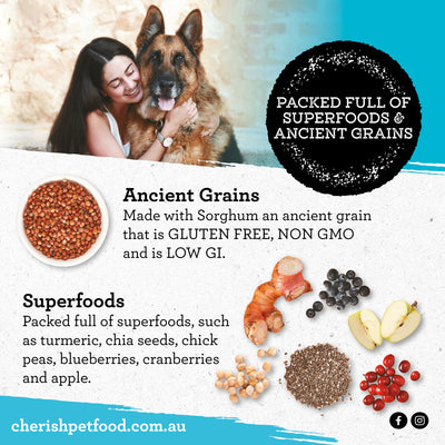 Cherish - Playful Puppy Small Bites Dog Food – Fuel your Puppys Day the Right Way