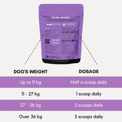 PetzPark – Stress + Anxiety For Dogs
