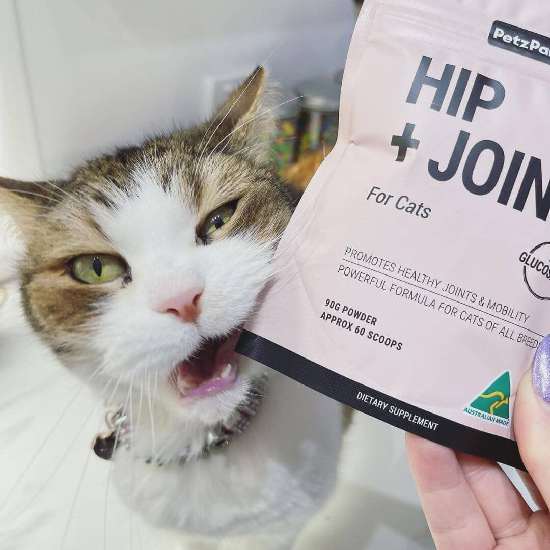PetzPark Hip + Joint For Cats