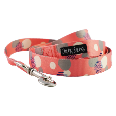Dan & Sam Dog Lead – Fabulous - Large