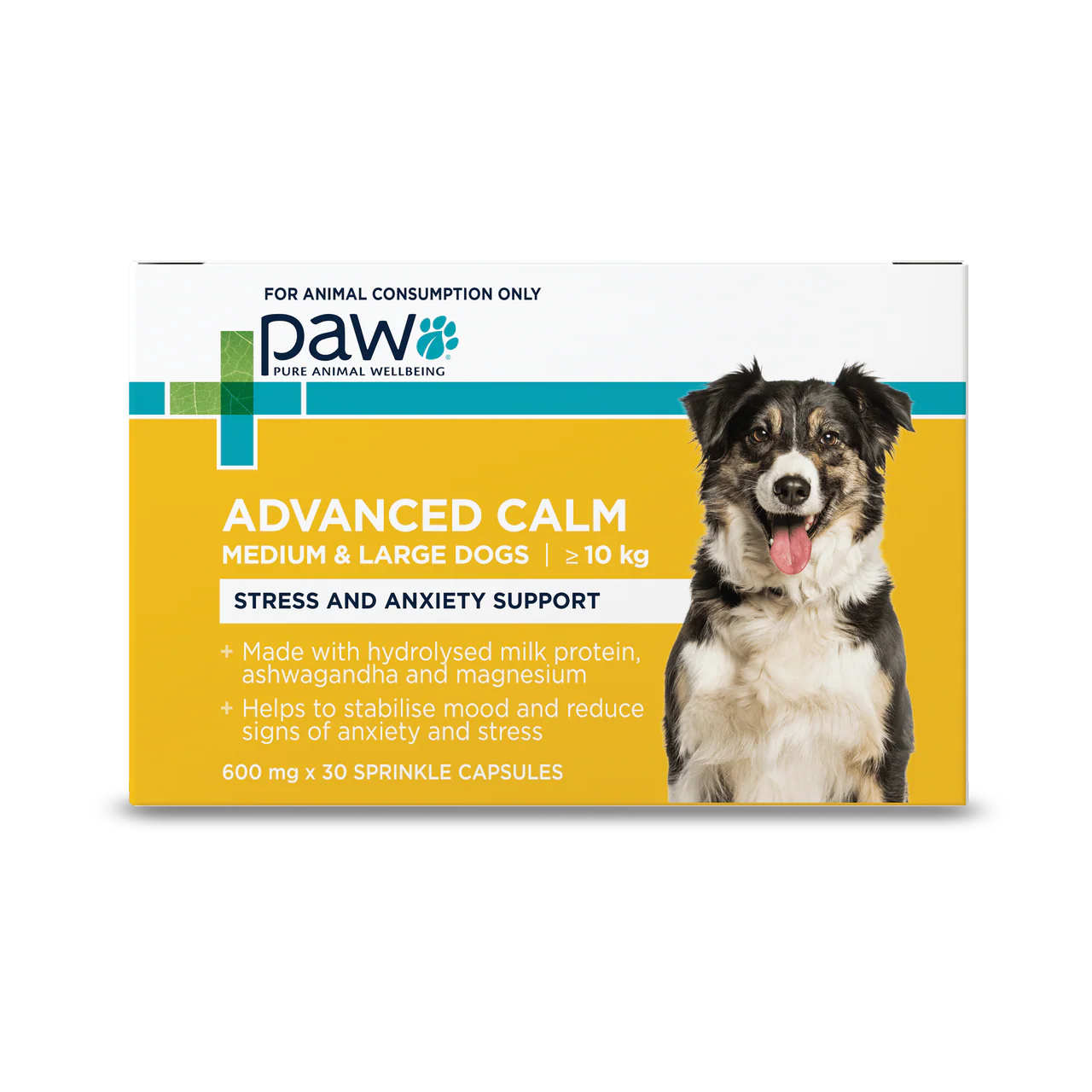 Blackmores Paw – Advanced Calm - Doses for Small & Large Dogs