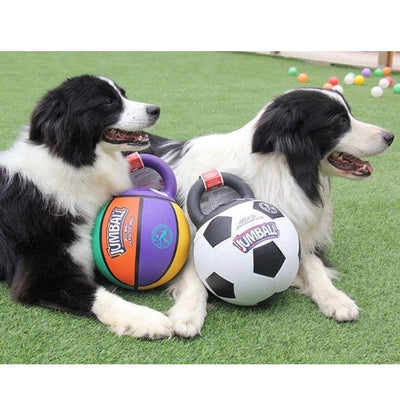 GiGwi – Jumball Soccer Ball - Durable Bouncy Super Toy for Dogs