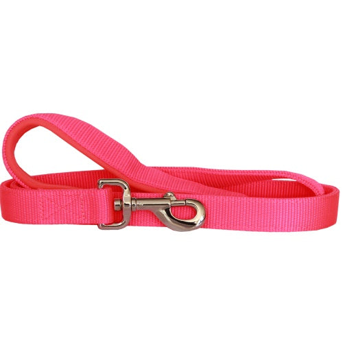 Durable and Reliable Nylon Dog Lead with Neoprene Handle - 25mm x 120cm - Pink