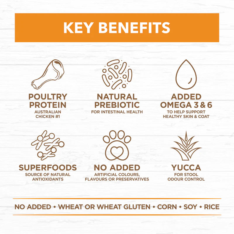 Ivory Coat Grain Free Adult Dog Food – Chicken