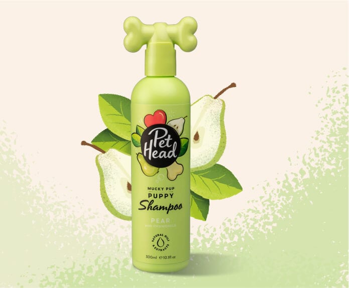 Pet Head Mucky Pup Natural Prickly Pear Shampoo, Conditioner and Spray for Puppies