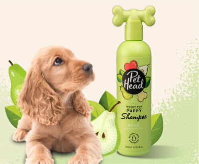 Pet Head Mucky Pup Natural Prickly Pear Shampoo, Conditioner and Spray for Puppies