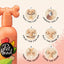 Pet Head Quick Fix Range for Quicker, Easier Grooming