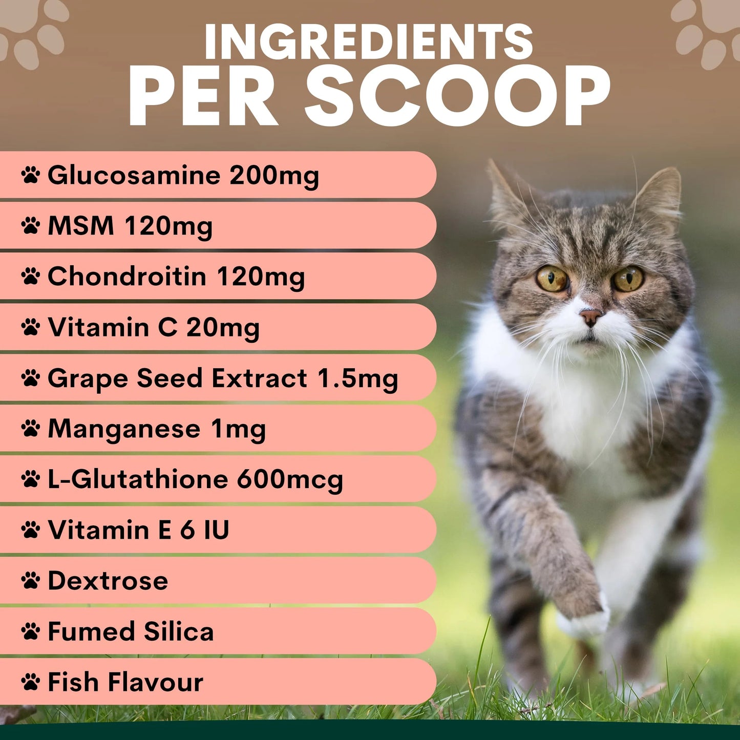 PetzPark Hip + Joint For Cats