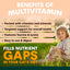 PetzPark Multivitamin For Cats
