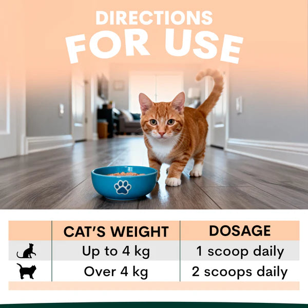 PetzPark Multivitamin For Cats