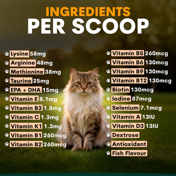 PetzPark Multivitamin For Cats