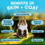 PetzPark – Skin + Coat For Cats