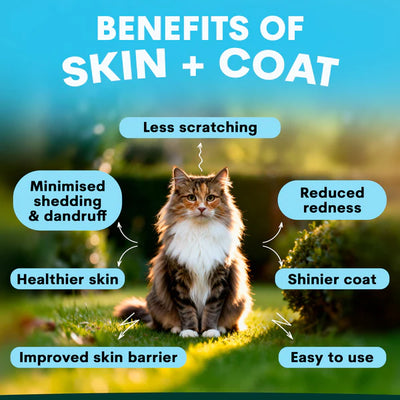 PetzPark – Skin + Coat For Cats