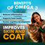 PetzPark – Skin + Coat For Cats