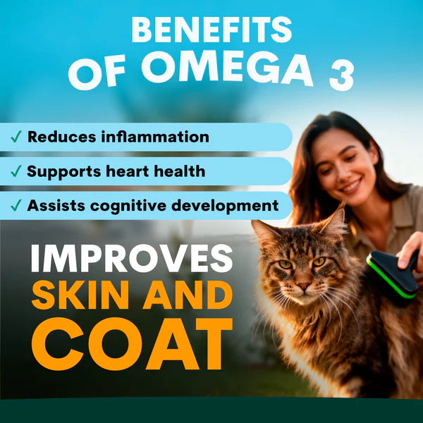 PetzPark – Skin + Coat For Cats