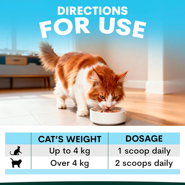 PetzPark – Skin + Coat For Cats