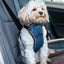 CarSafe Crash Tested Harness for Car Travel and Walking – Blue
