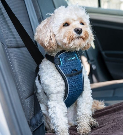 CarSafe Crash Tested Harness for Car Travel and Walking – Blue