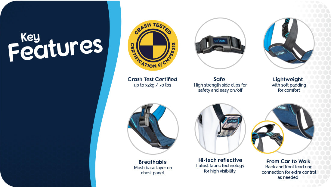 CarSafe Crash Tested Harness for Car Travel and Walking – Blue