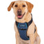 CarSafe Crash Tested Harness for Car Travel and Walking – Blue
