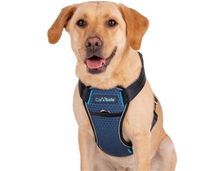 CarSafe Crash Tested Harness for Car Travel and Walking – Blue