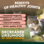 PetzPark Hip + Joint For Cats