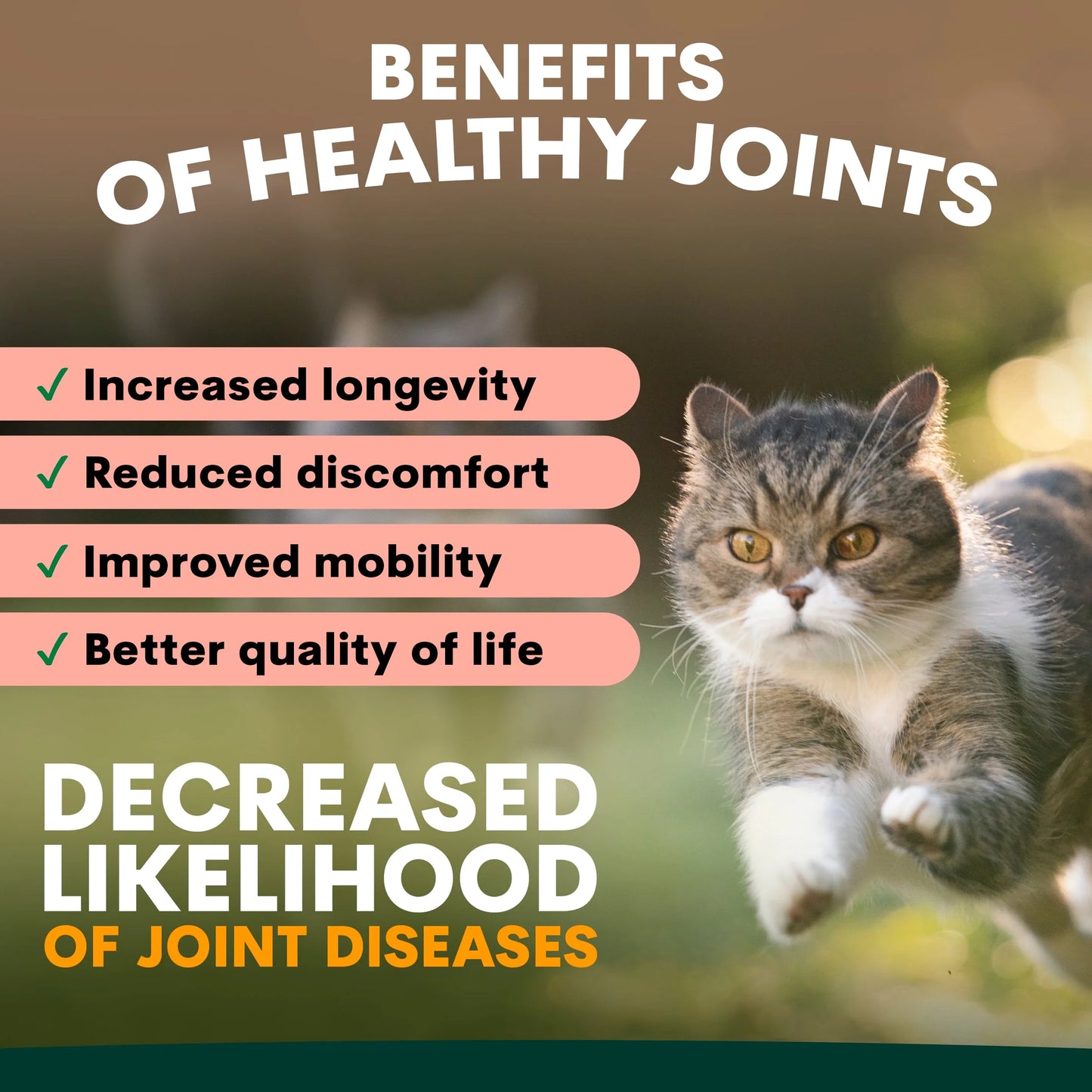 PetzPark Hip + Joint For Cats