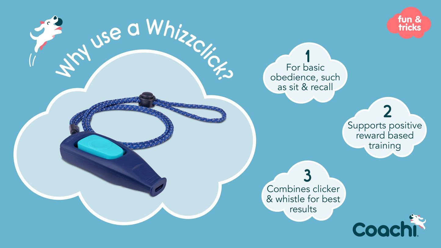 Company of Animals – Coachi – Multi & Whizzclick Clickers