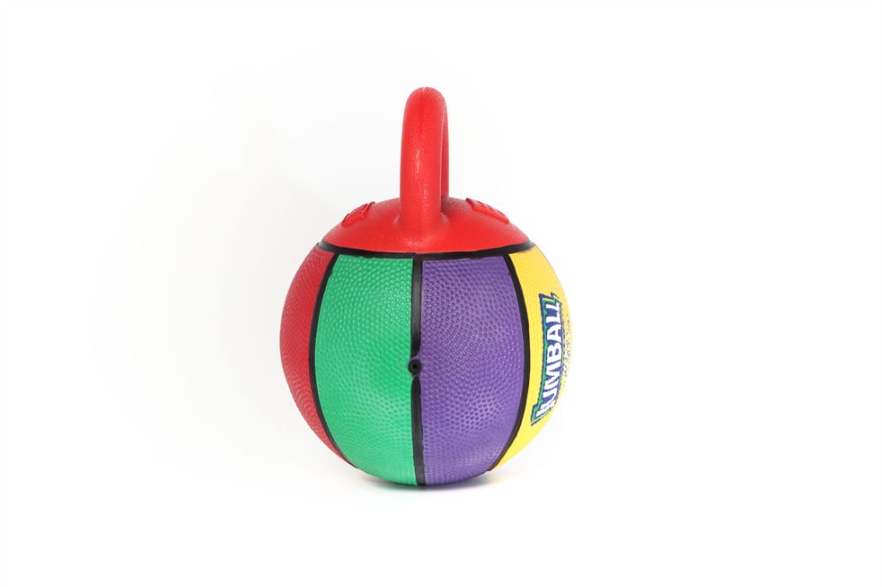 GiGwi – Jumball Basketball in Mini & Standard Sizes - For High Energy Dogs!
